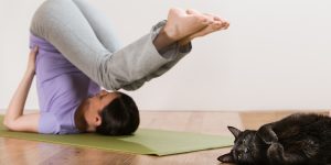 Woman in a traditional stretching yoga pose at home with her cat Woman in a traditional stretching yoga pose at home with her cat relaxing near her